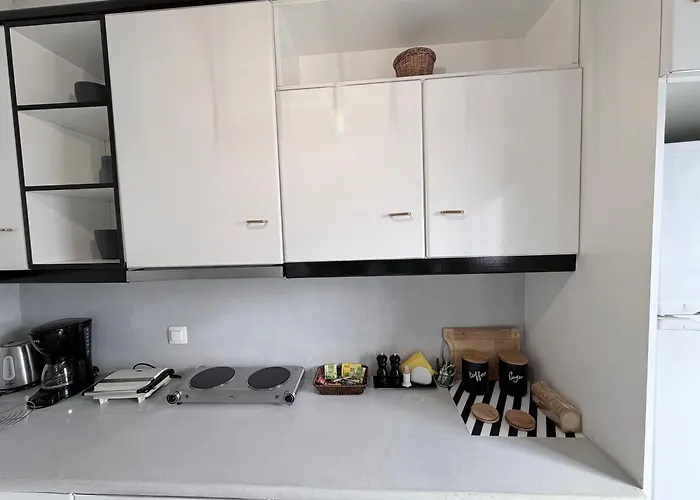 بيت للعطل White Swallow Santorini Vourvoúlos