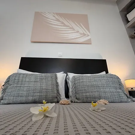 Tatil Evi White Swallow Santorini *