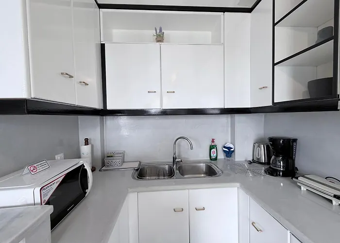 White Swallow Santorini